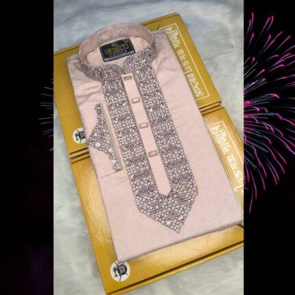 Sequence Embroidery Panjabi