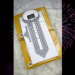 Sequence Embroidery Panjabi