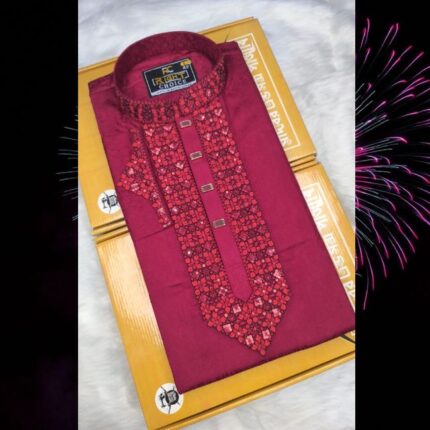 Sequence Embroidery Panjabi