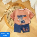 Baby Tshirt and Pant Set